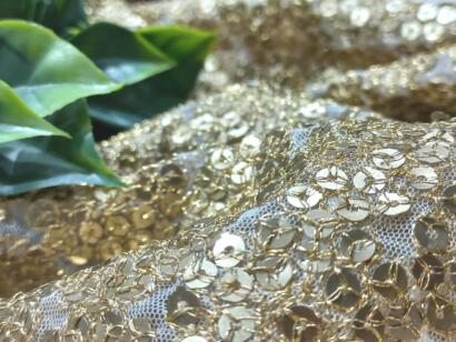 Shimmering Elegance: The Allure of Sequence Work Fabric - 7 August