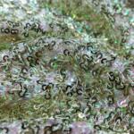 Buy Top Quality Sequins Fabric Online At Best Price