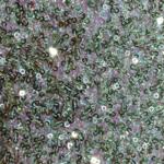 designer sequin fabric
