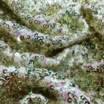 silver sequin fabric online india