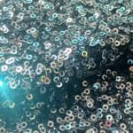 Allover black sequins embroidery fabric price
