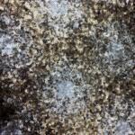 Gold sequin fabric for women garment price in Gujarat
