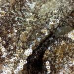 Lion sequin fabric for women garment wholesale
